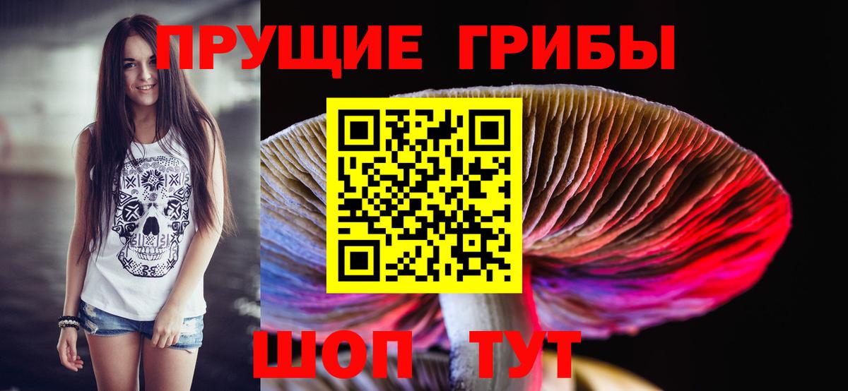Галлюциногенные грибы GOLDEN TEACHER  Вход с VPN  Губкин 