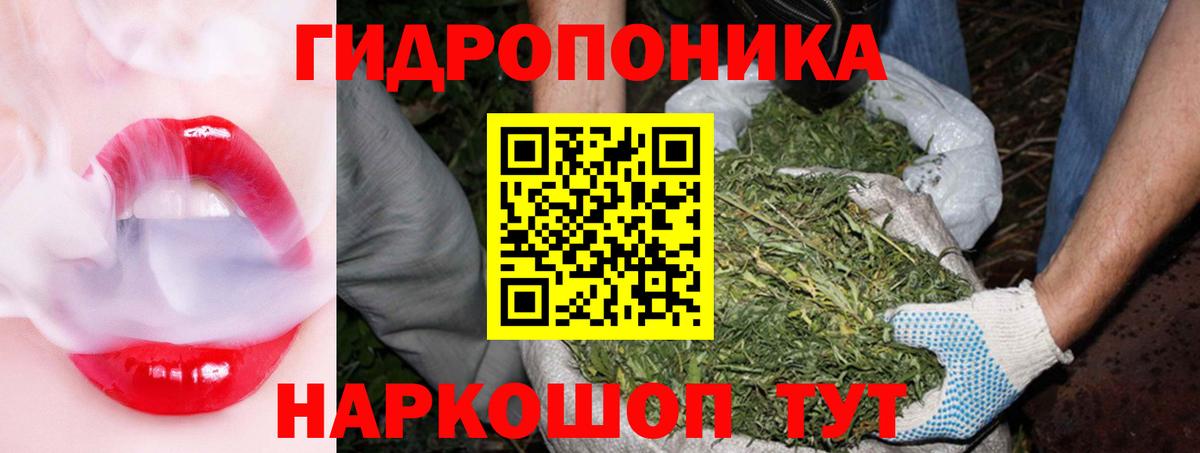 МАРИХУАНА конопля Губкин